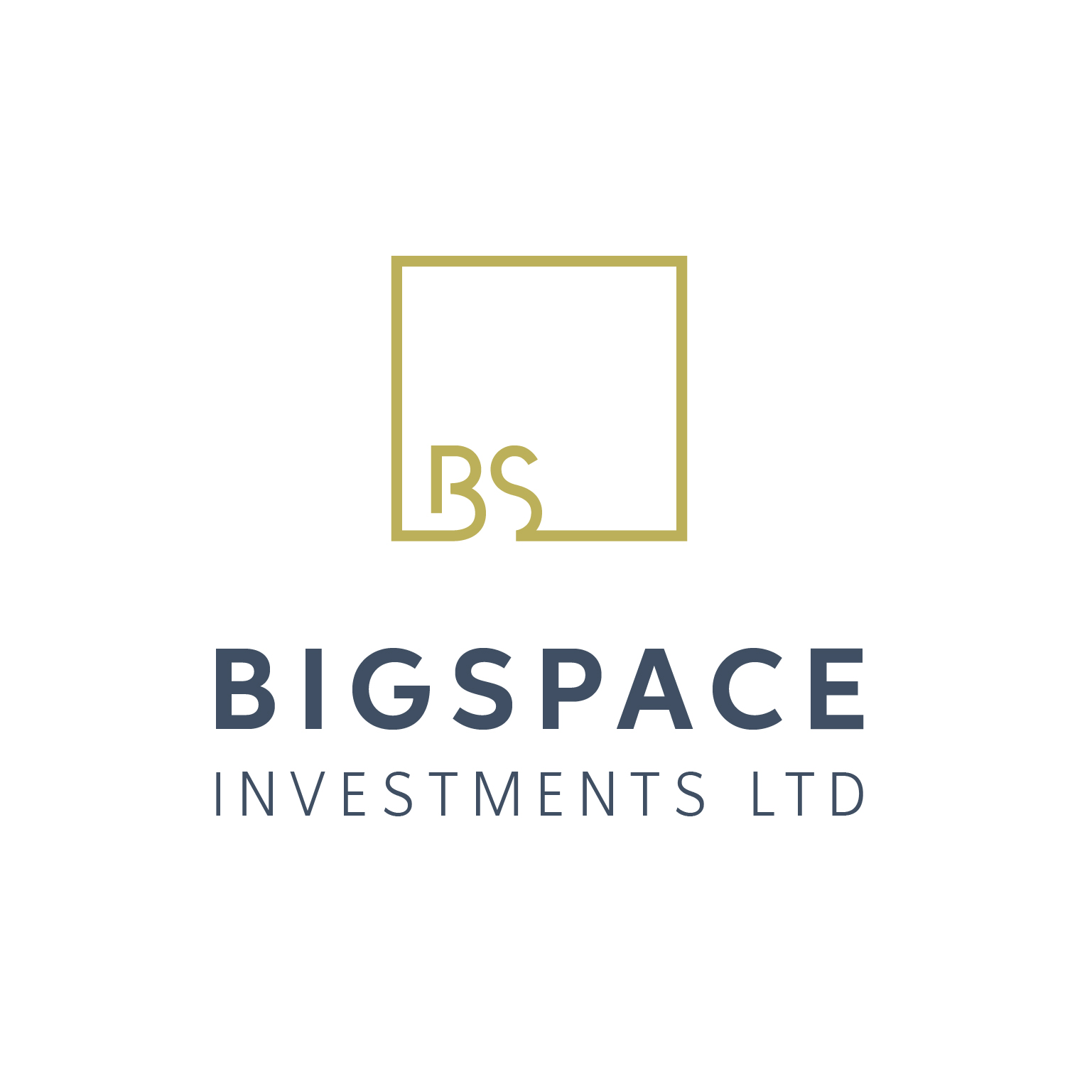 logo for Bigspace Investments Ltd